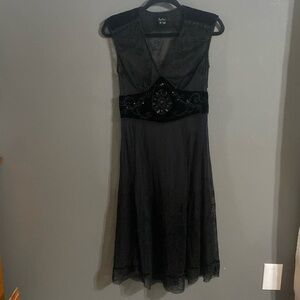 ECI New York Sheer Dress